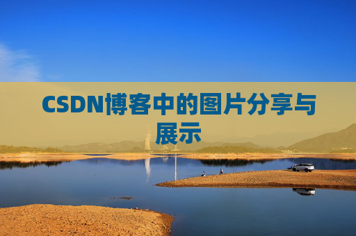 CSDN博客中的图片分享与展示